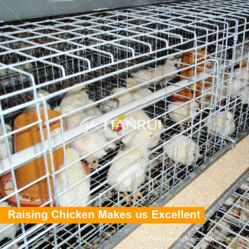 Agricultural automatic galvanized pullet battery cages for sale